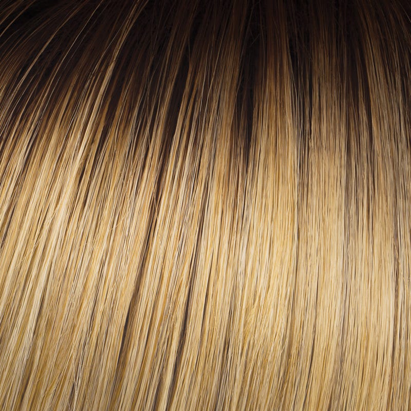 Eva Gabor Wig Color Dark Chocolate Mist