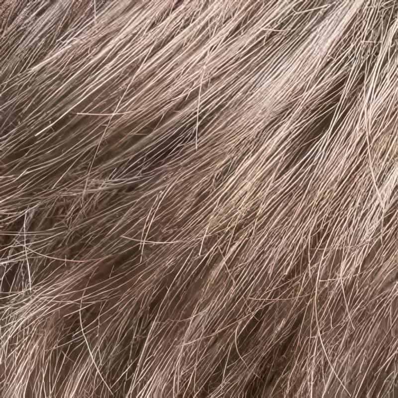 Eva Gabor Wig Color Dark Chocolate Mist