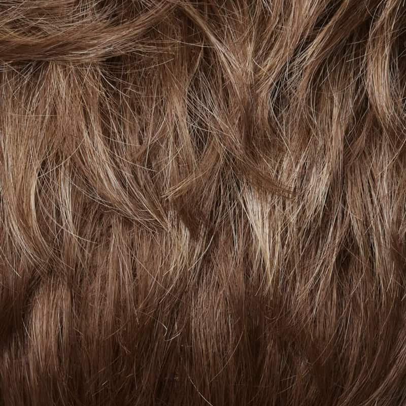 Eva Gabor Wig Color Dark Chocolate Mist