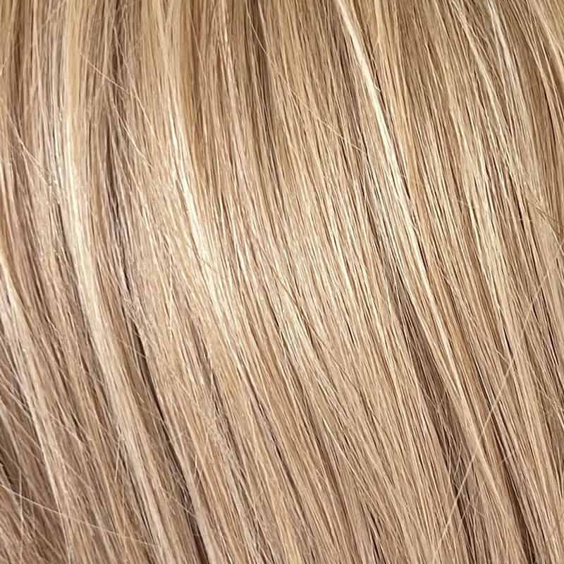 Eva Gabor Wig Color Dark Chocolate Mist