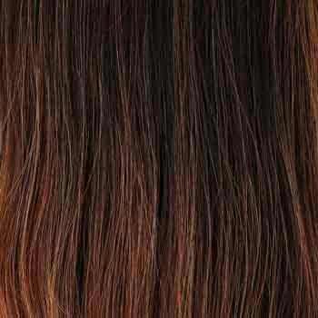 Eva Gabor Wig Color Dark Chocolate Mist