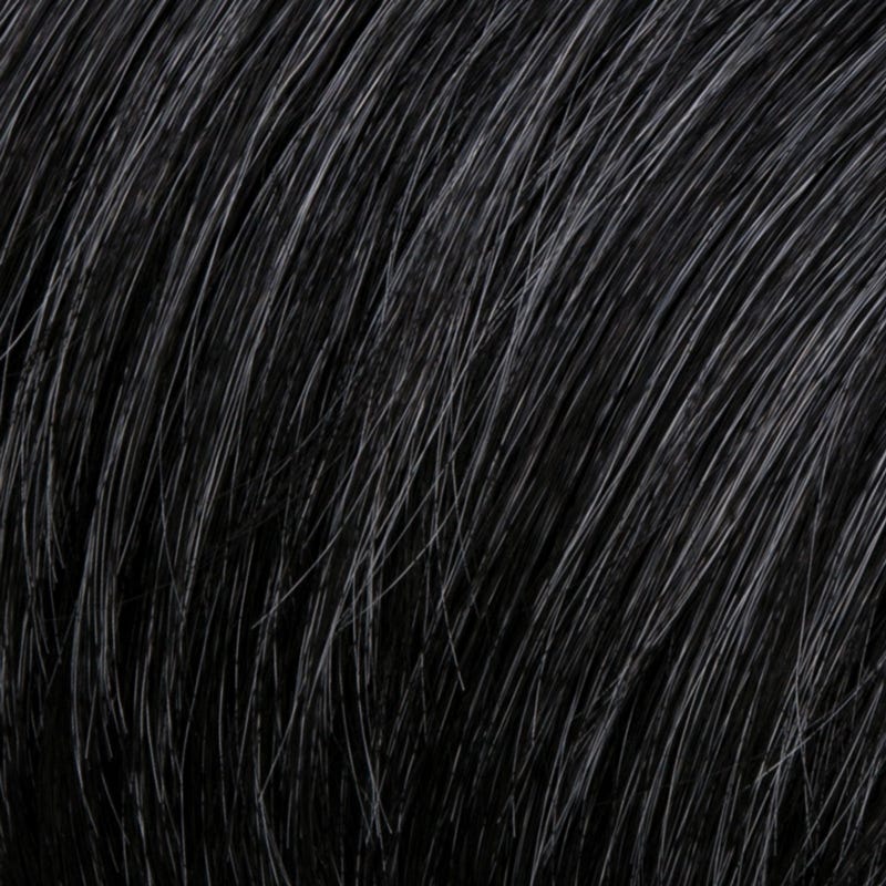 Eva Gabor Wig Color Dark Chocolate Mist