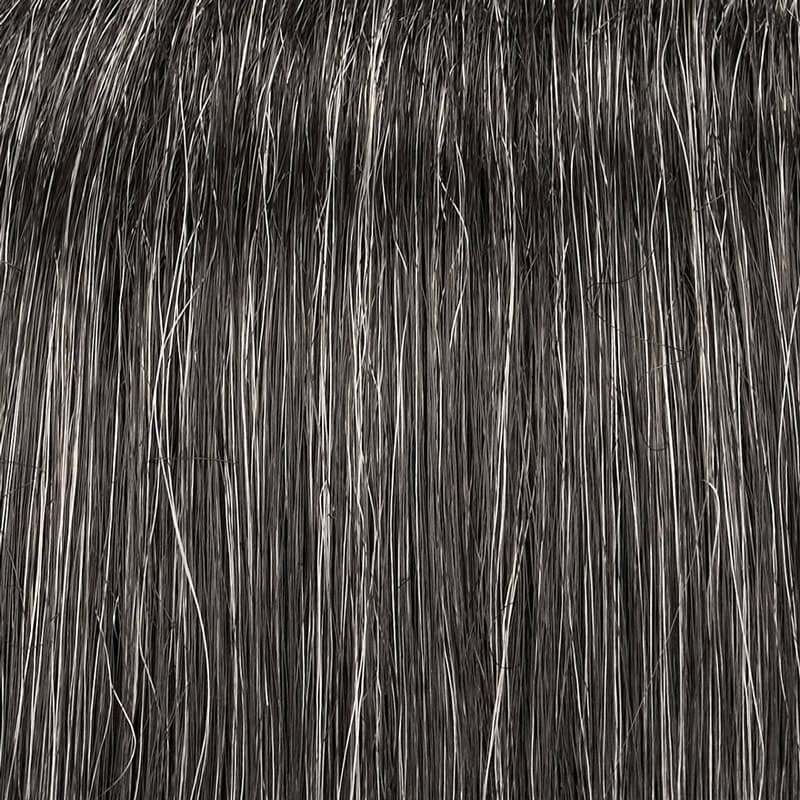 Eva Gabor Wig Color Dark Chocolate Mist