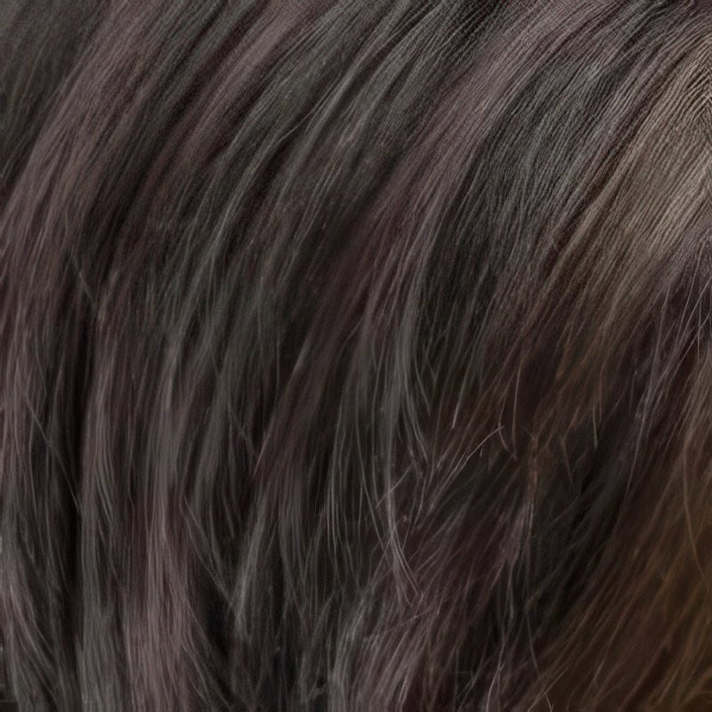 Eva Gabor Wig Color Dark Chocolate Mist