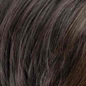 Eva Gabor Wig Color Dark Chocolate Mist