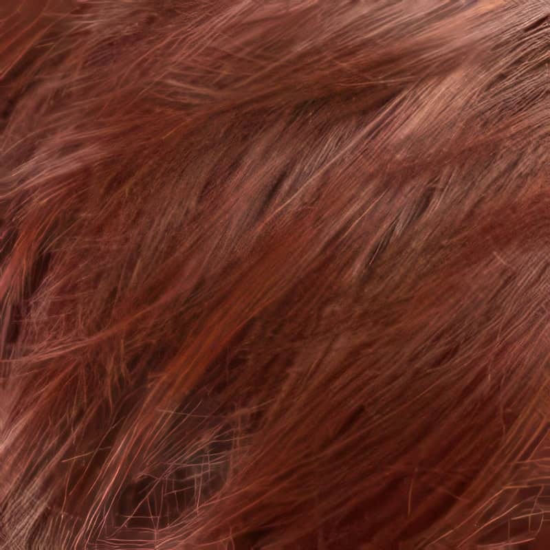 Eva Gabor Wig Color Dark Chocolate Mist