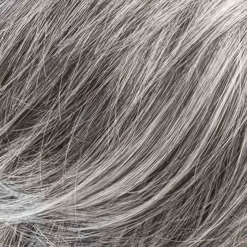 Eva Gabor Wig Color Dark Chocolate Mist
