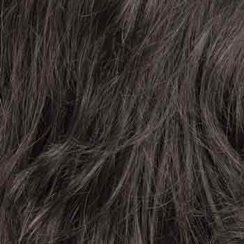 Eva Gabor Wig Color Dark Chocolate Mist