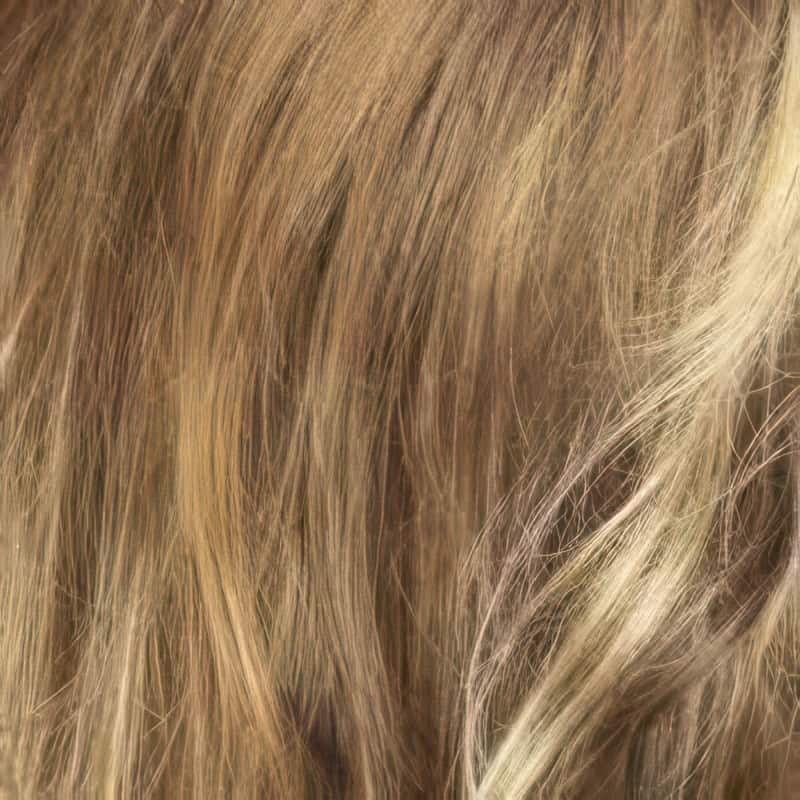 Eva Gabor Wig Color Dark Chocolate Mist