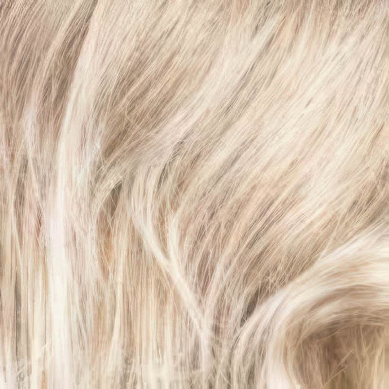 Eva Gabor Wig Color Dark Chocolate Mist