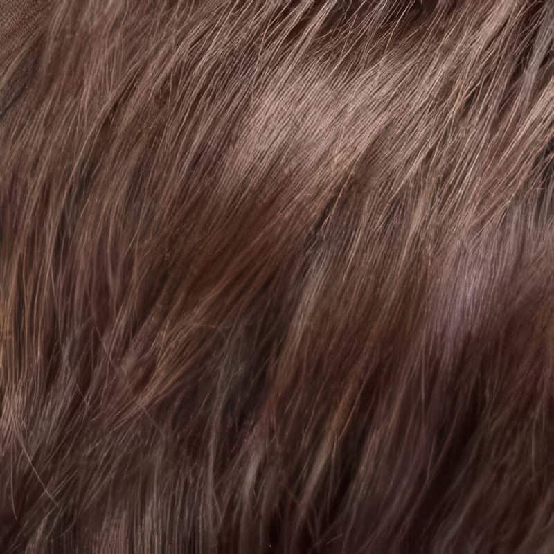 Eva Gabor Wig Color Dark Chocolate Mist