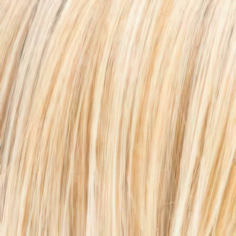 Eva Gabor Wig Color Dark Chocolate Mist