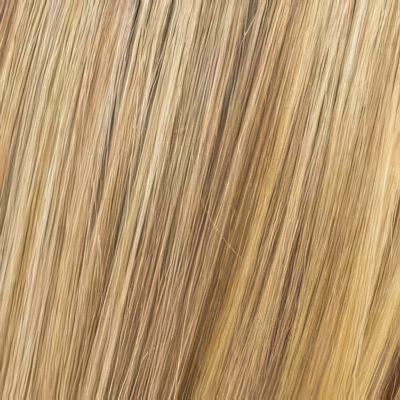 Eva Gabor Wig Color Dark Chocolate Mist