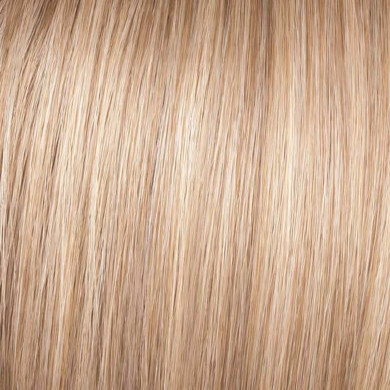 Eva Gabor Wig Color Dark Chocolate Mist