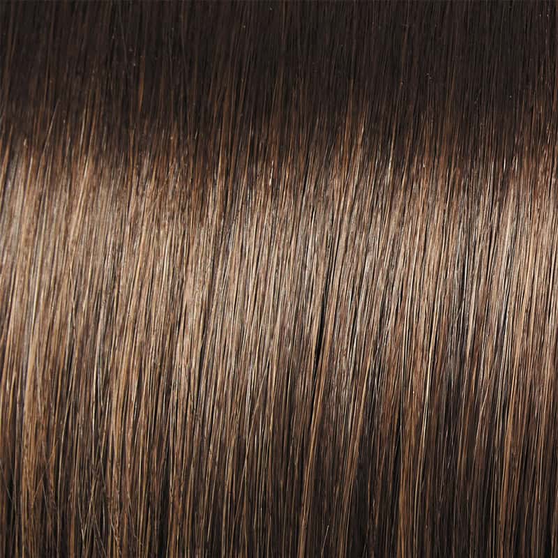 Eva Gabor Wig Color Dark Chocolate Mist