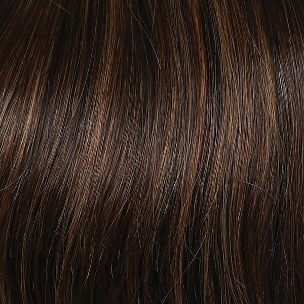 Eva Gabor Wig Color Dark Chocolate Mist