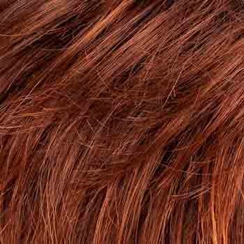 Eva Gabor Wig Color Dark Chocolate Mist