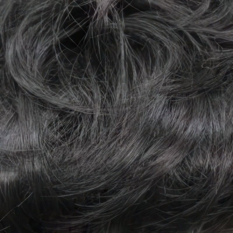 Eva Gabor Wig Color Dark Chocolate Mist