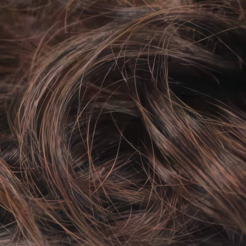 Eva Gabor Wig Color Dark Chocolate Mist