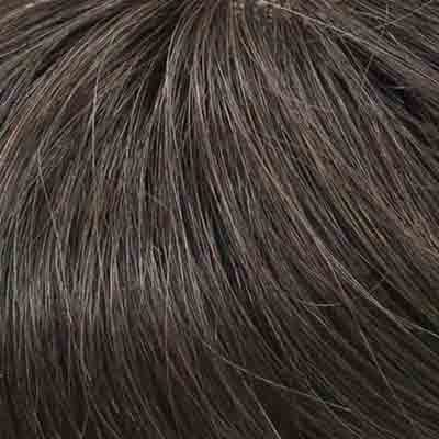 Eva Gabor Wig Color Dark Chocolate Mist