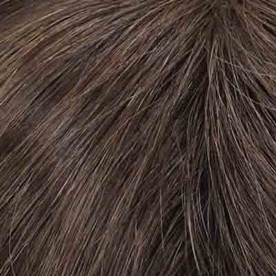 Eva Gabor Wig Color Dark Chocolate Mist