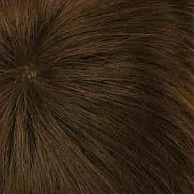 Eva Gabor Wig Color Dark Chocolate Mist