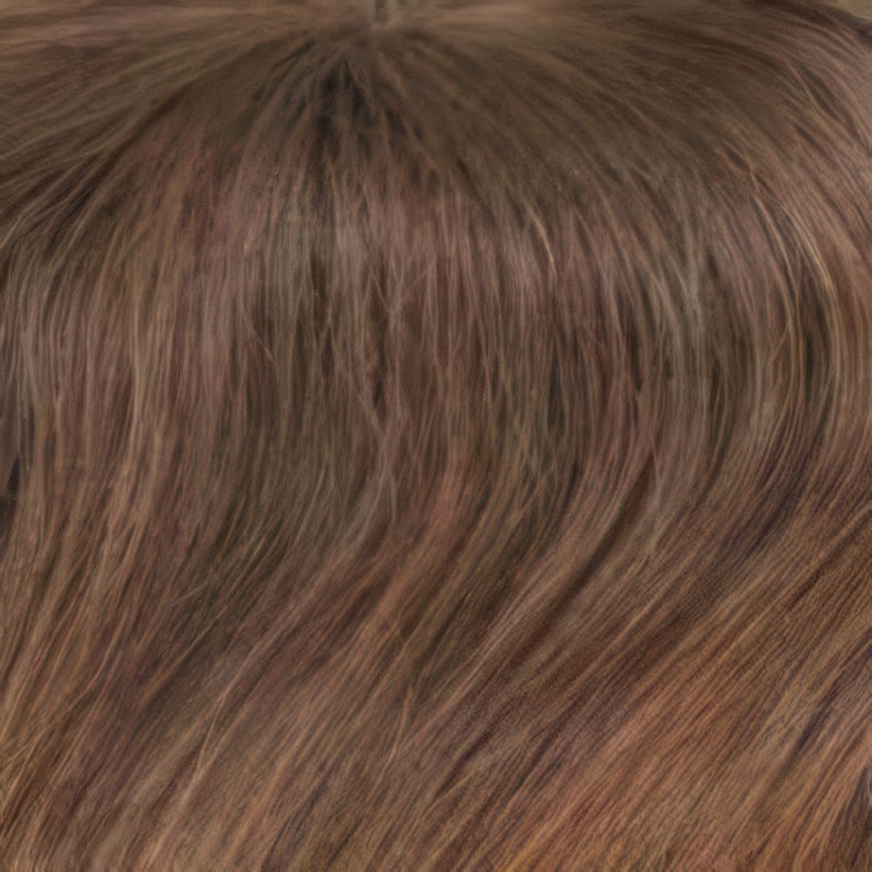Eva Gabor Wig Color Dark Chocolate Mist