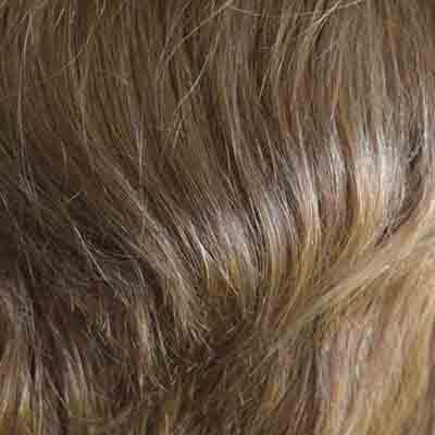 Eva Gabor Wig Color Dark Chocolate Mist
