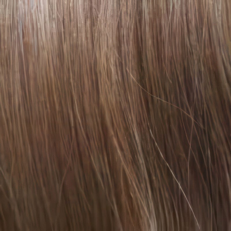 Eva Gabor Wig Color Dark Chocolate Mist