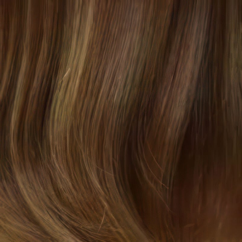 Eva Gabor Wig Color Dark Chocolate Mist