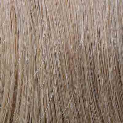 Eva Gabor Wig Color Dark Chocolate Mist