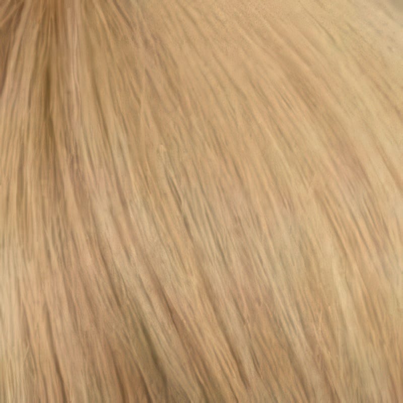 Eva Gabor Wig Color Dark Chocolate Mist
