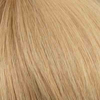 Eva Gabor Wig Color Dark Chocolate Mist