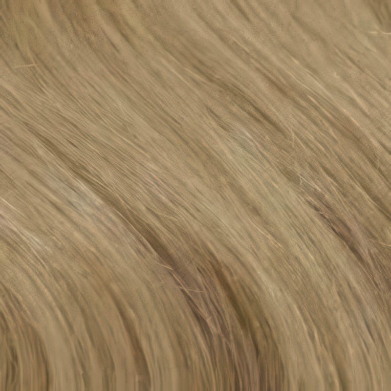 Eva Gabor Wig Color Dark Chocolate Mist