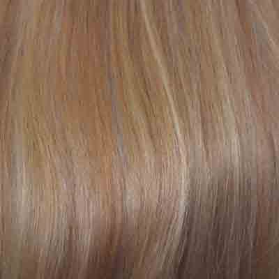 Eva Gabor Wig Color Dark Chocolate Mist