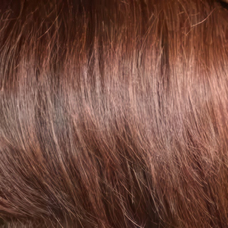 Eva Gabor Wig Color Dark Chocolate Mist