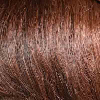 Eva Gabor Wig Color Dark Chocolate Mist