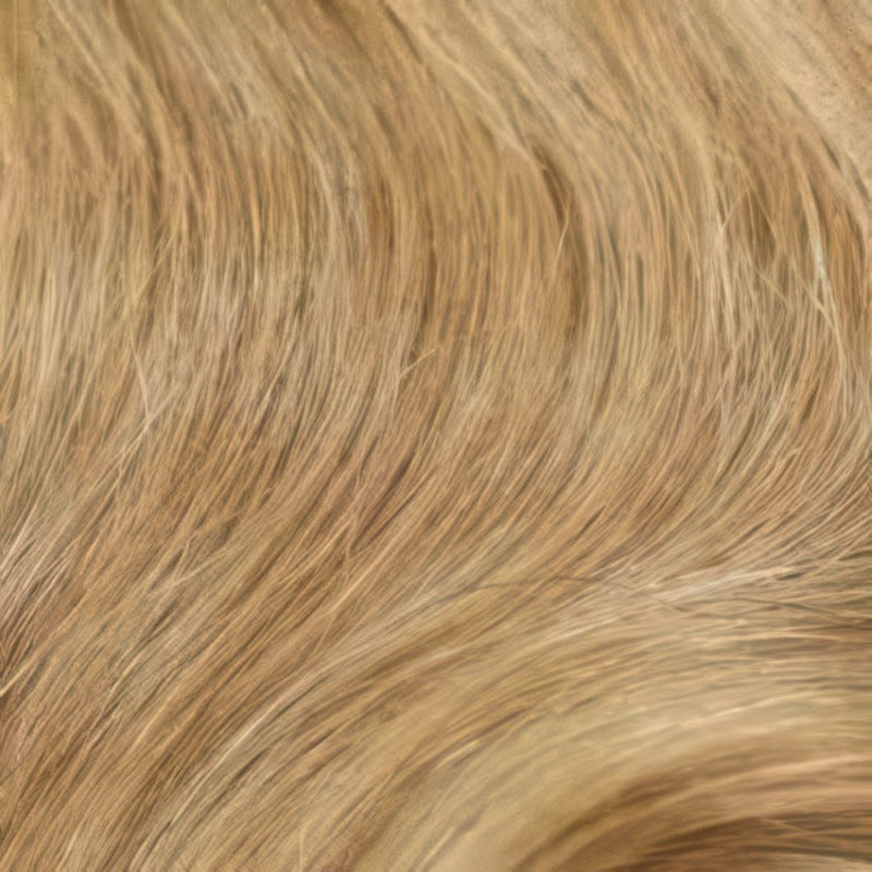 Eva Gabor Wig Color Dark Chocolate Mist