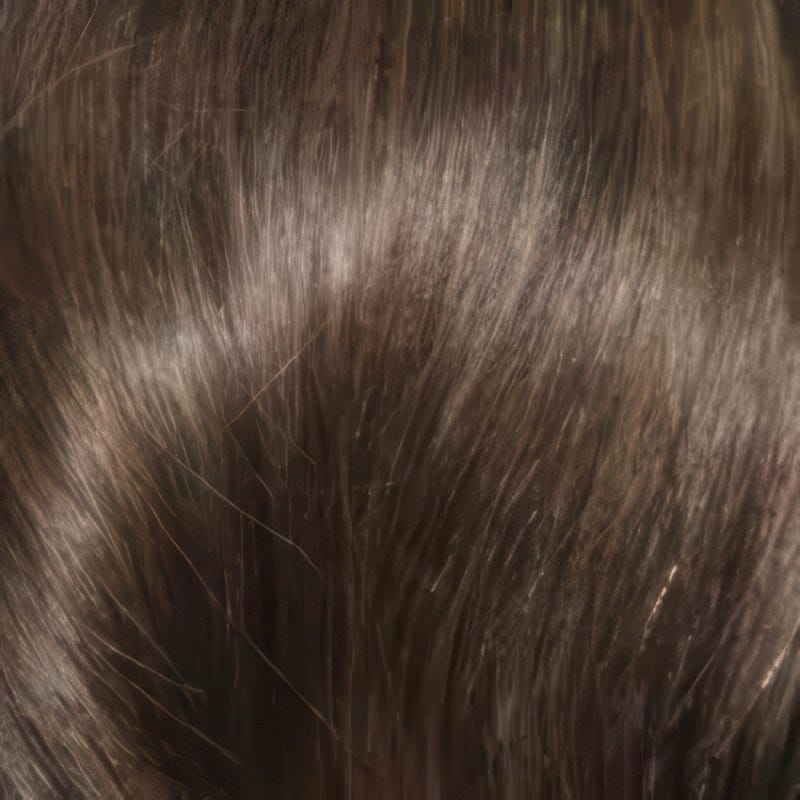 Eva Gabor Wig Color Dark Chocolate Mist