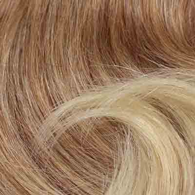 Eva Gabor Wig Color Dark Chocolate Mist