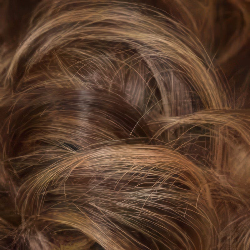 Eva Gabor Wig Color Dark Chocolate Mist
