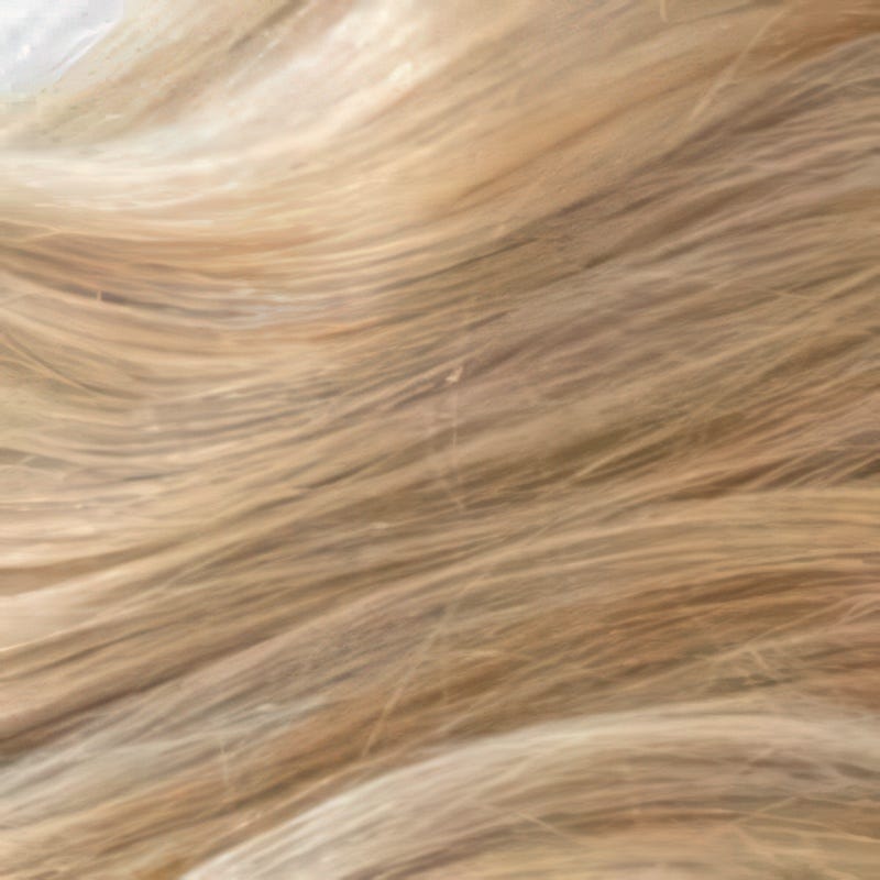 Eva Gabor Wig Color Dark Chocolate Mist