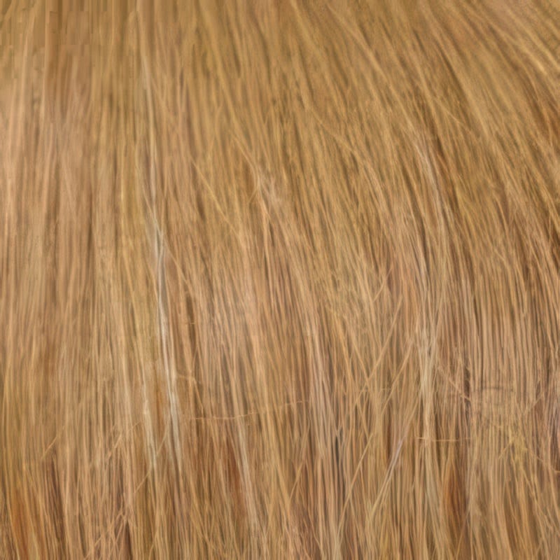 Eva Gabor Wig Color Dark Chocolate Mist
