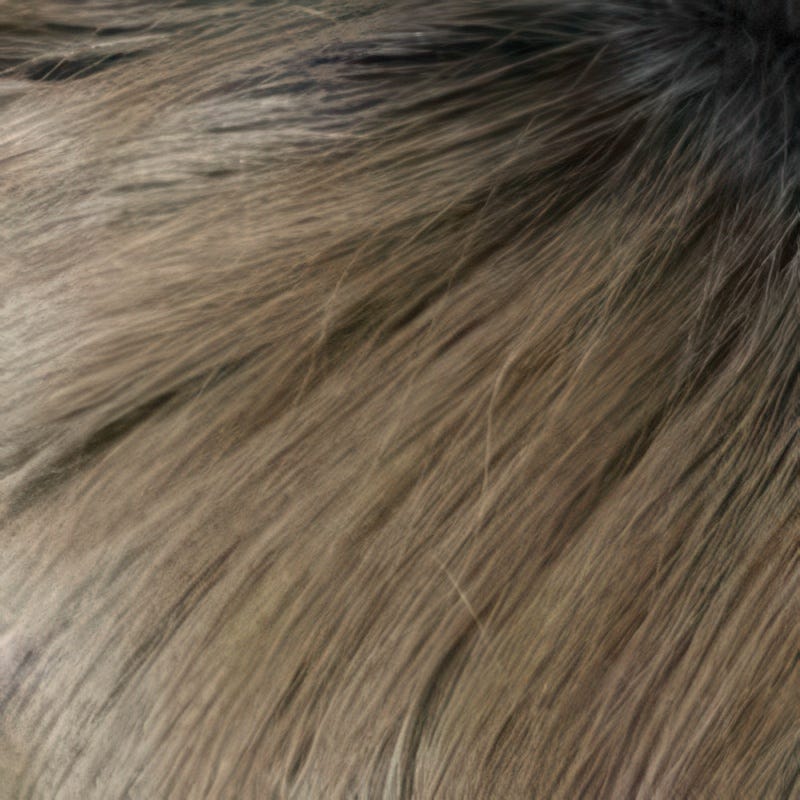 Eva Gabor Wig Color Dark Chocolate Mist