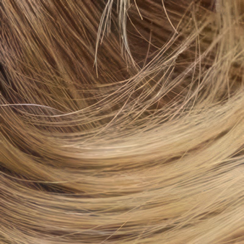 Eva Gabor Wig Color Dark Chocolate Mist