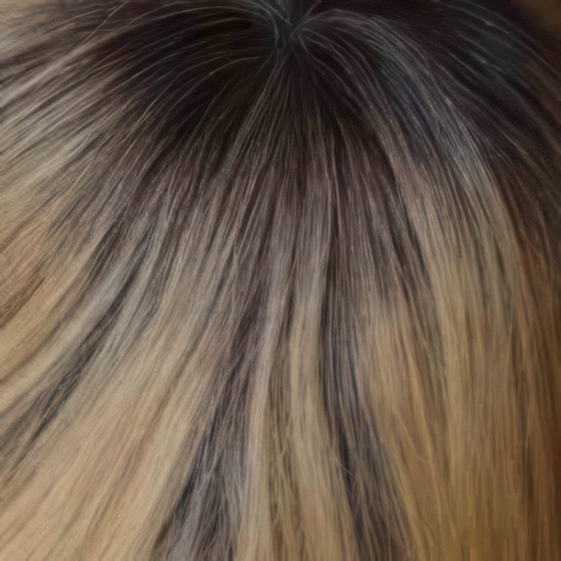 Eva Gabor Wig Color Dark Chocolate Mist