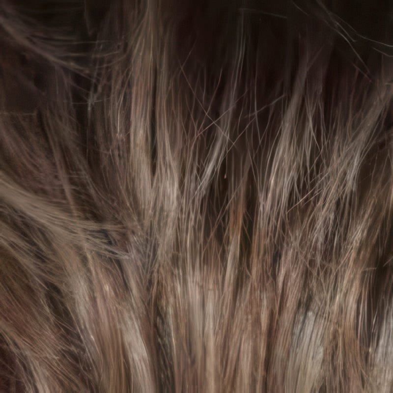 Eva Gabor Wig Color Dark Chocolate Mist
