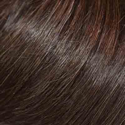 Eva Gabor Wig Color Dark Chocolate Mist