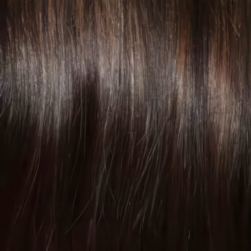 Eva Gabor Wig Color Dark Chocolate Mist