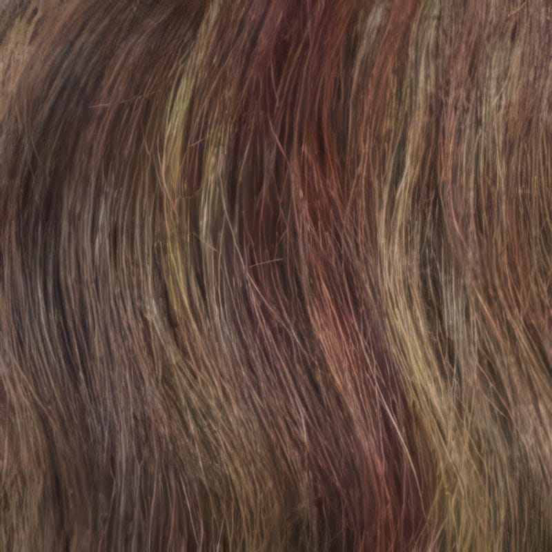Eva Gabor Wig Color Dark Chocolate Mist